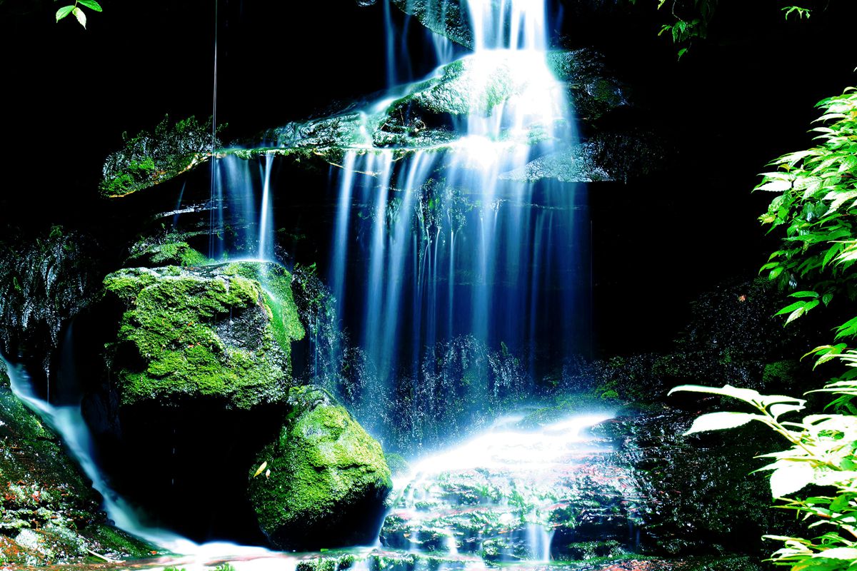 高山玉液