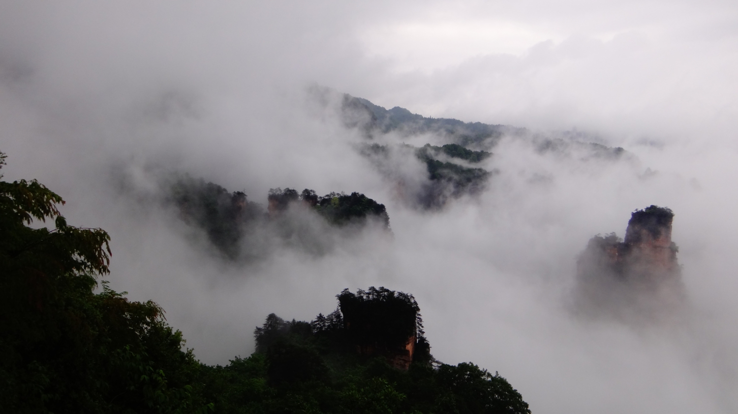 天子山时隐时现