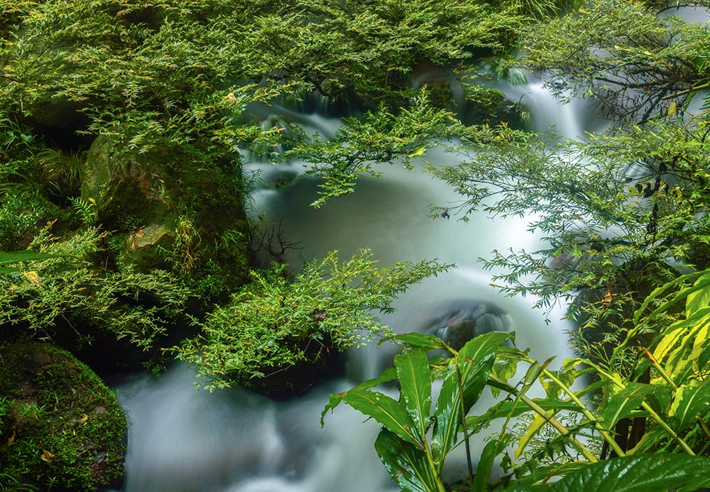 潺潺流水