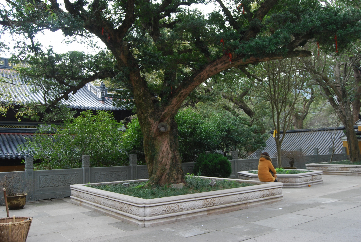 静地