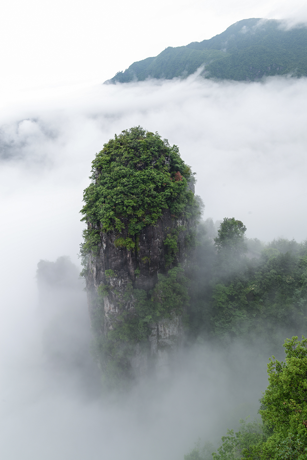 仙境