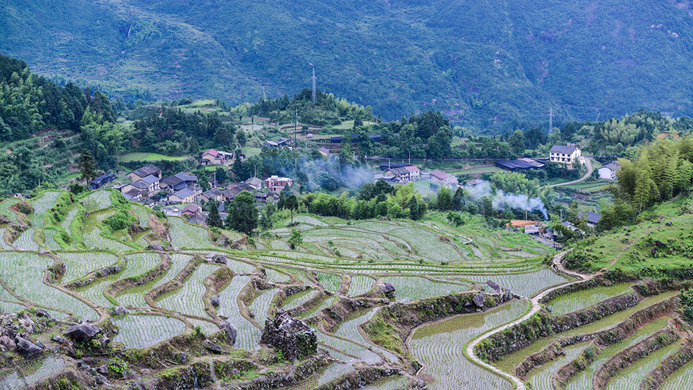 炊烟