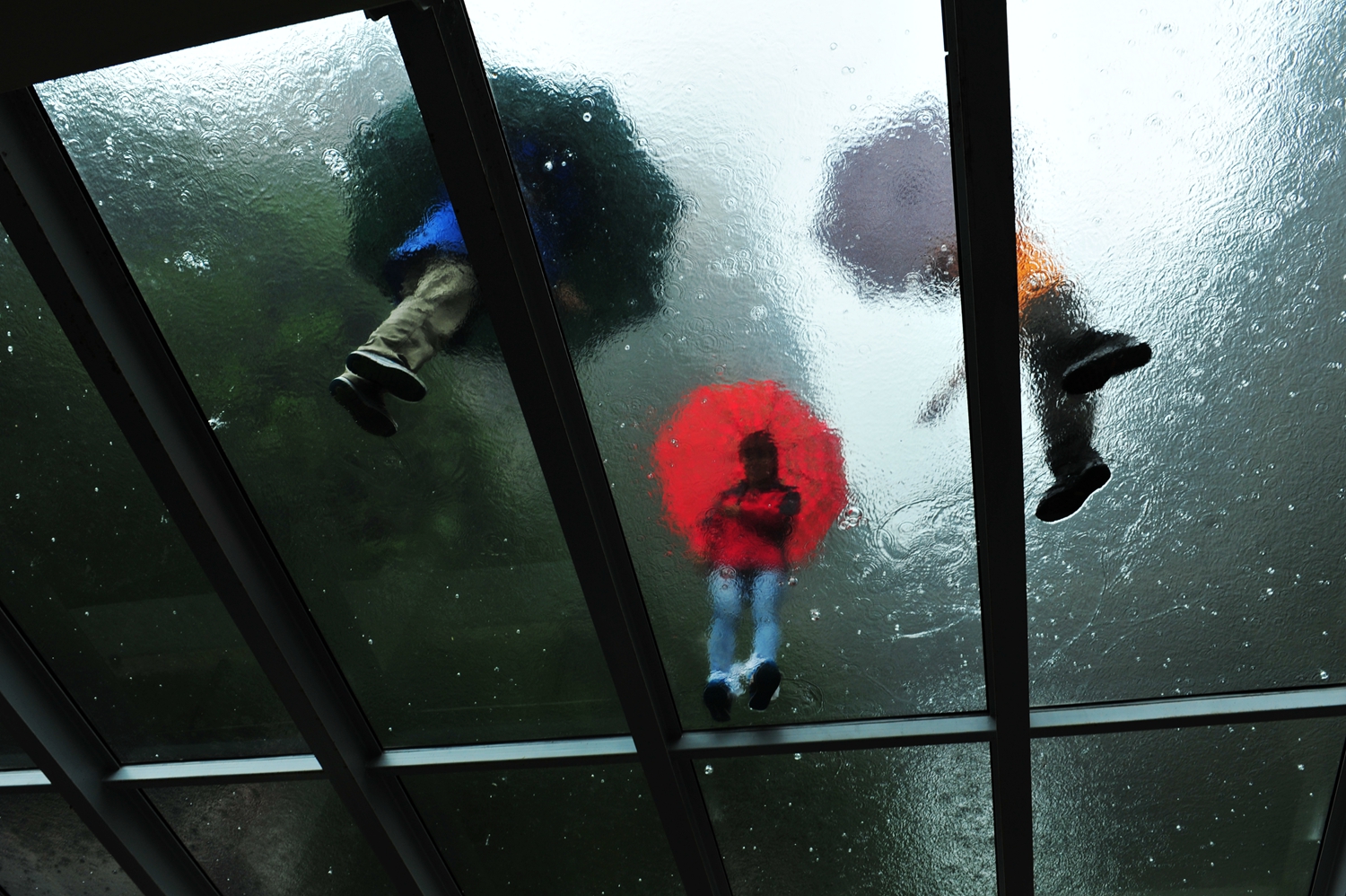 雨 中