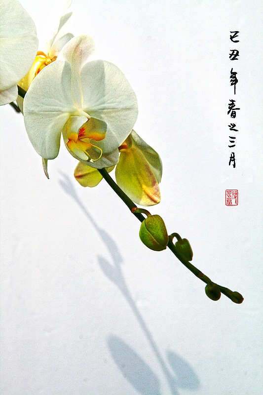 无题