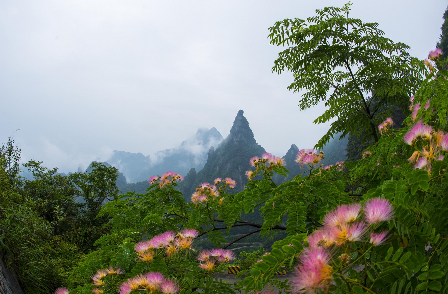 山花烂漫天门山