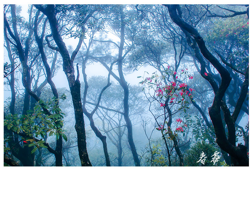 春雾