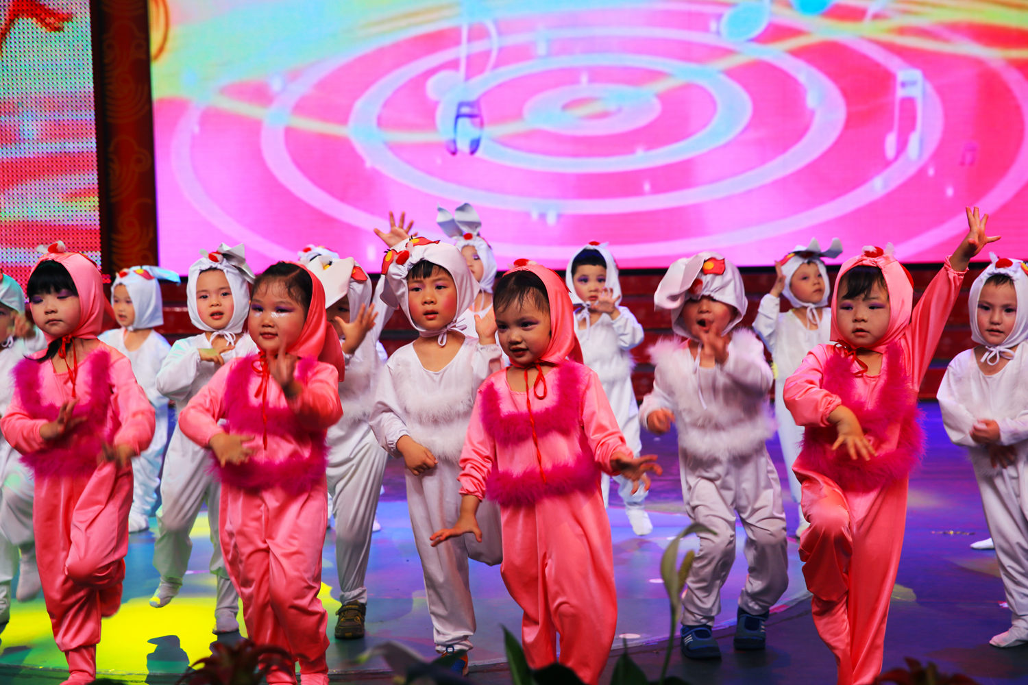 张家界第一幼儿园活动（2）