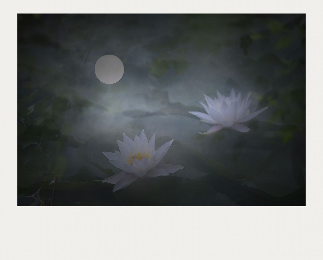 明月鉴