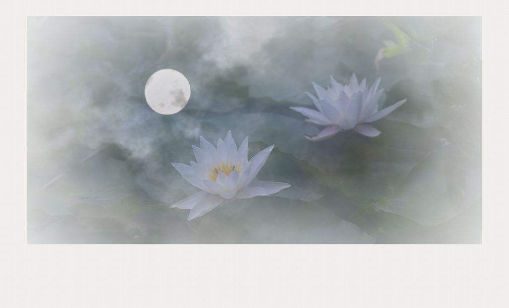 禅韵