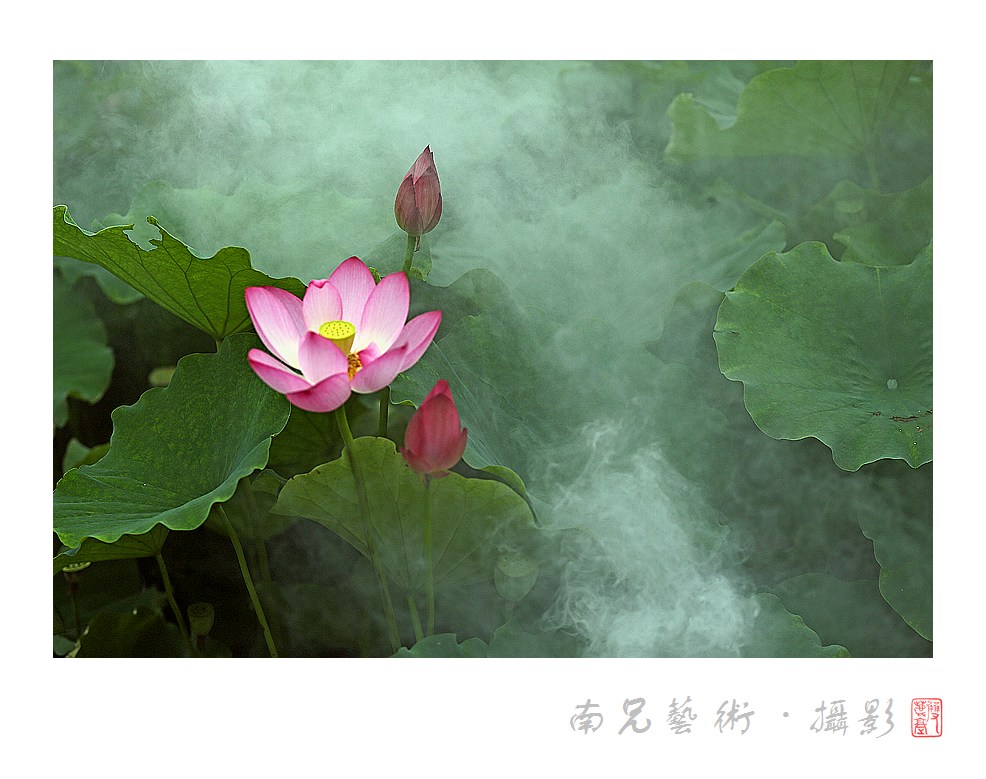 花仙子