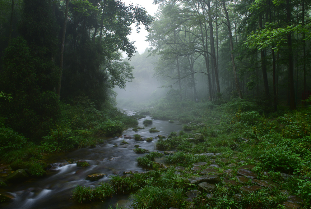 烟雨金鞭溪