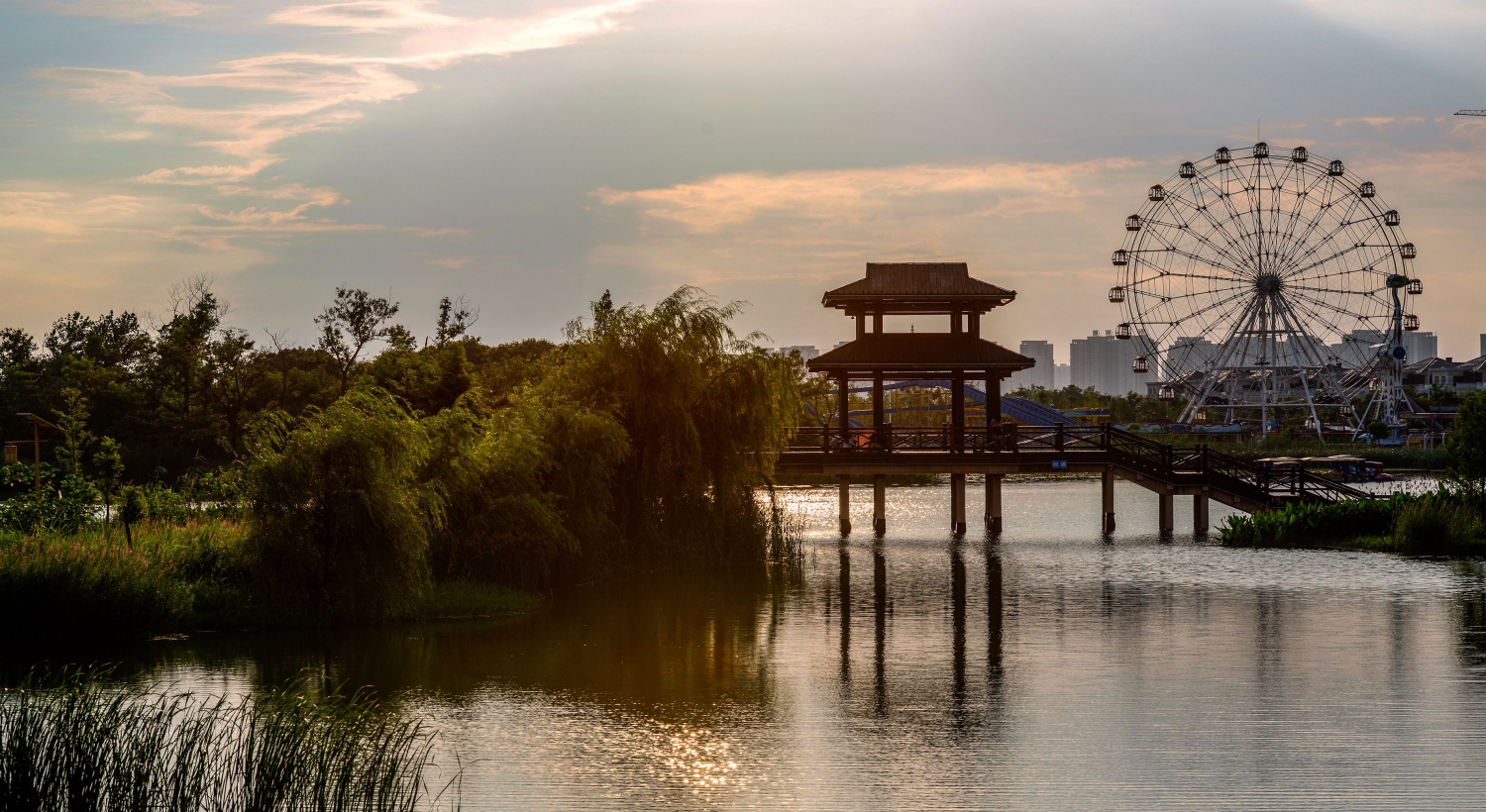 湿地夕照