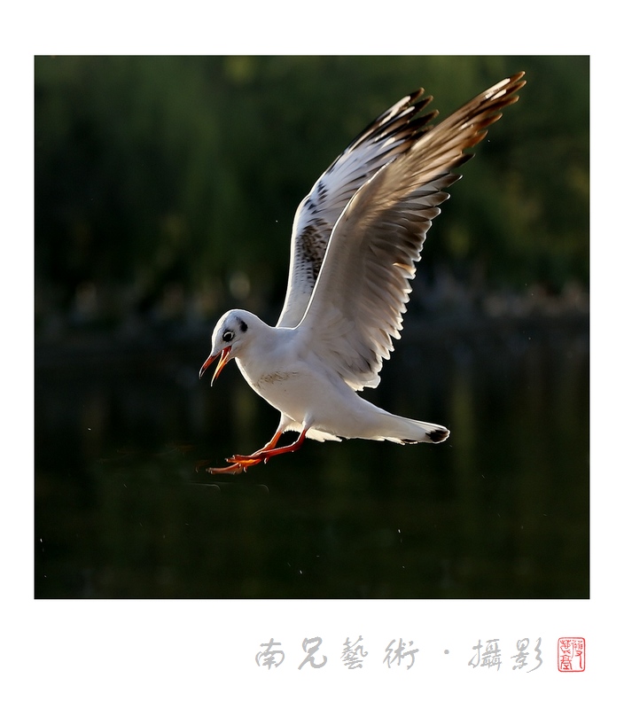 逐