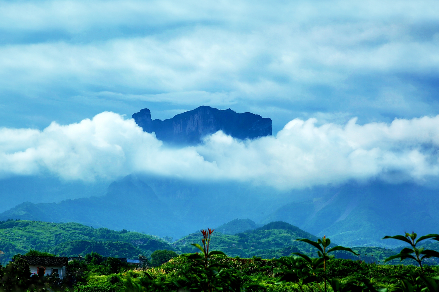 云中露仙山