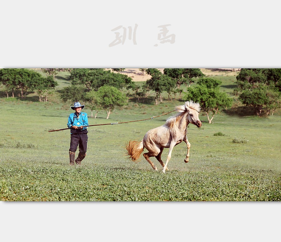 训马