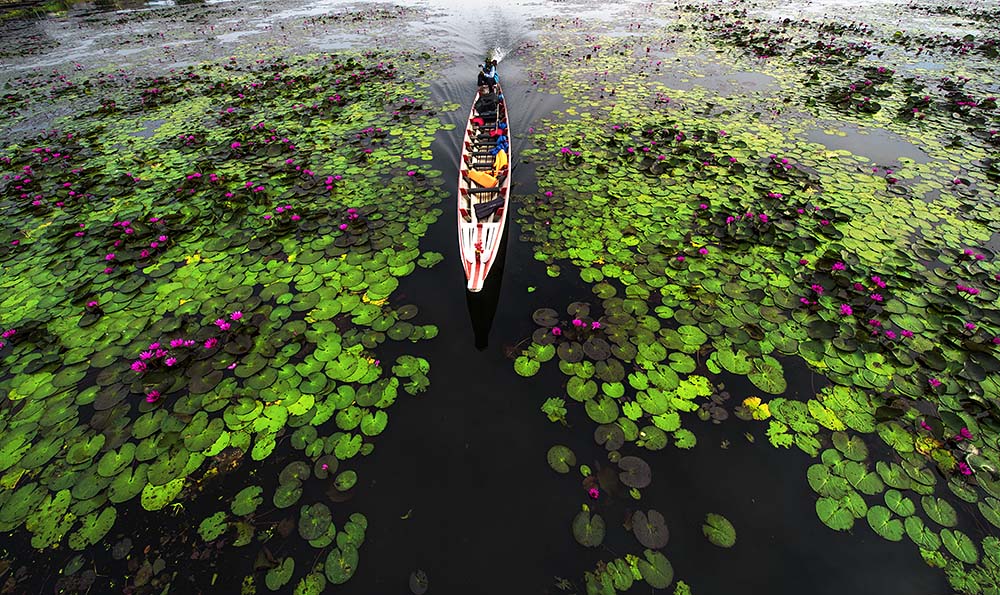 收获季节