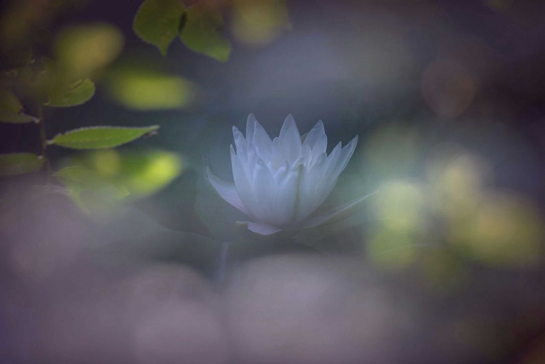 浪漫之夏-13