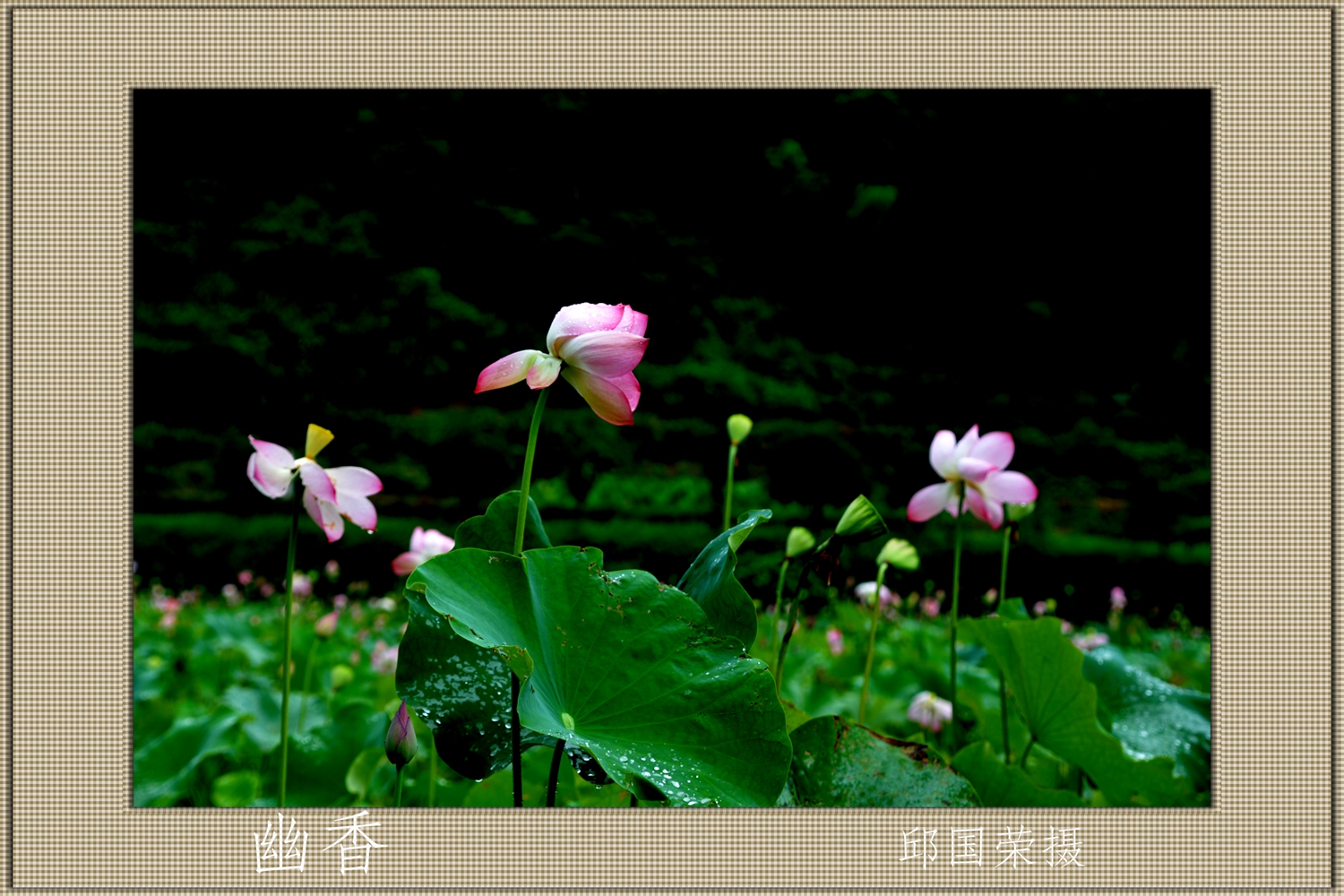 幽香