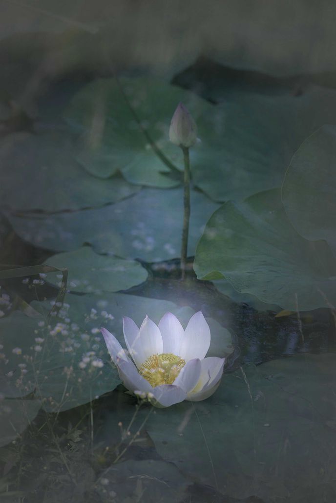 浪漫之夏-20