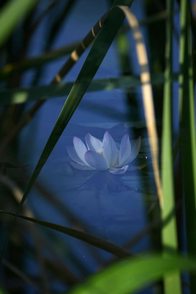 浪漫之夏-10