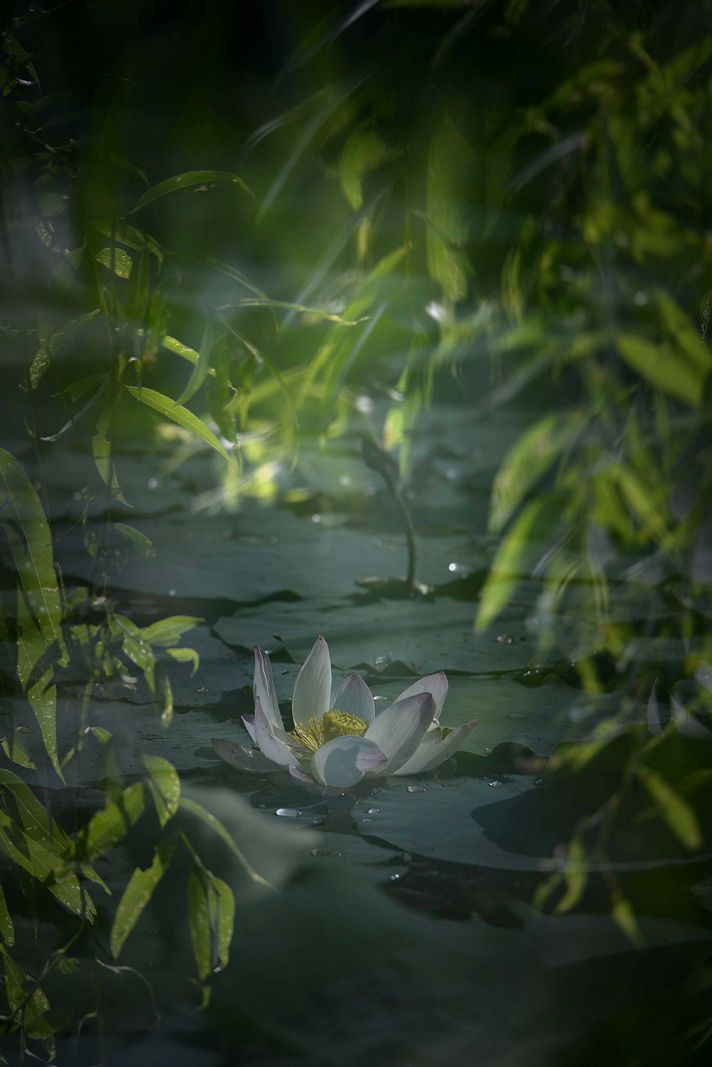浪漫之夏-5