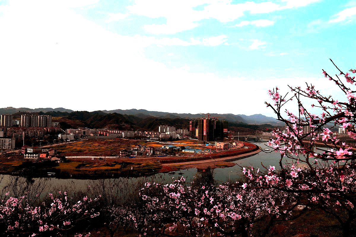 庸城桃花春