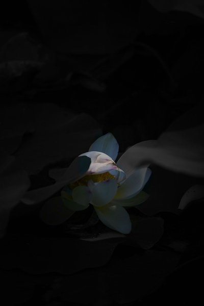 静谧