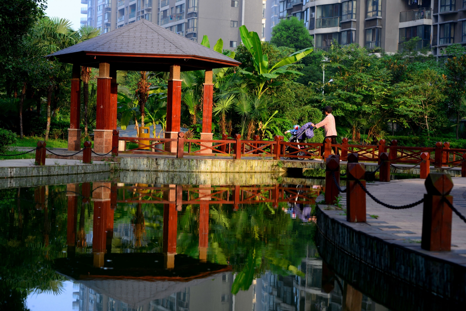 庭院晨景2