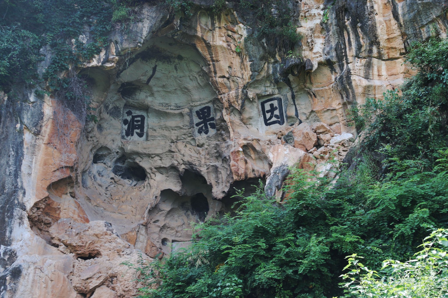 因果洞