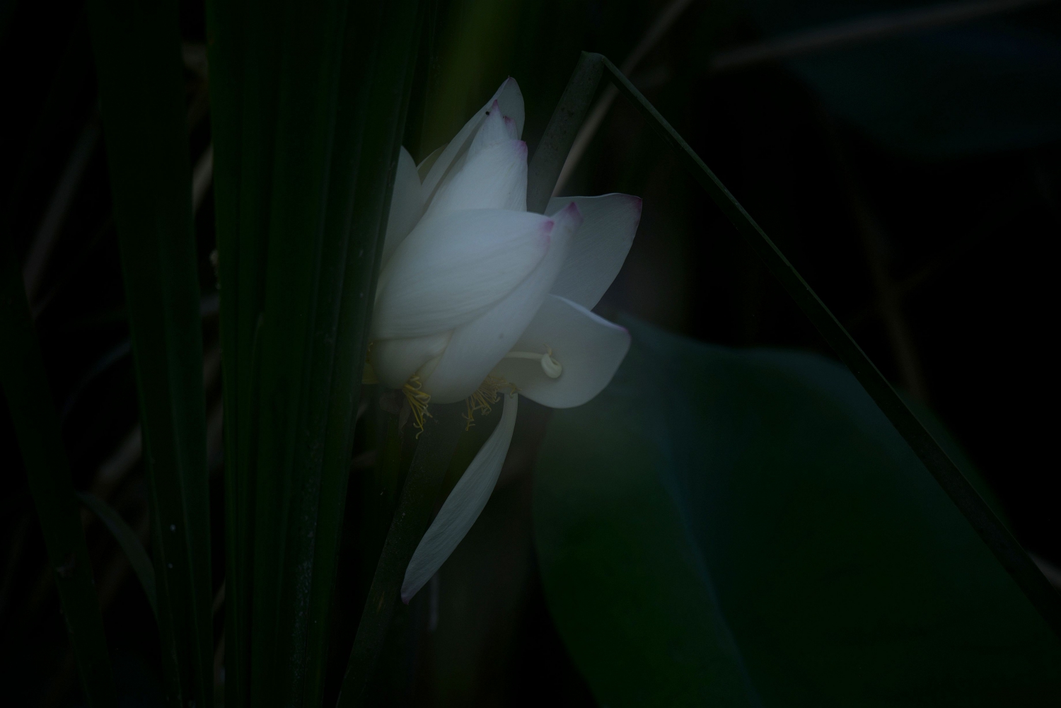 静2