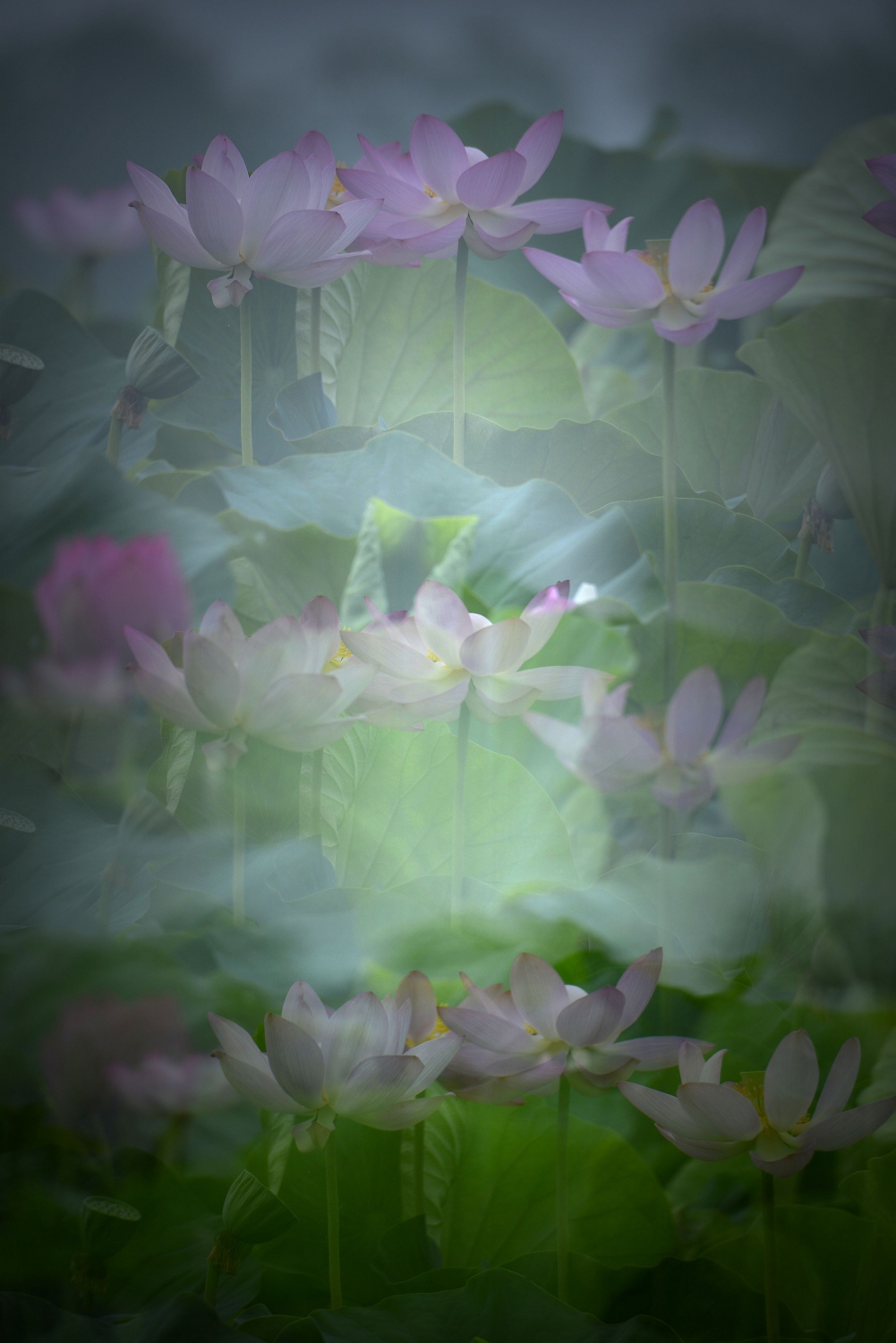 惠风和畅3