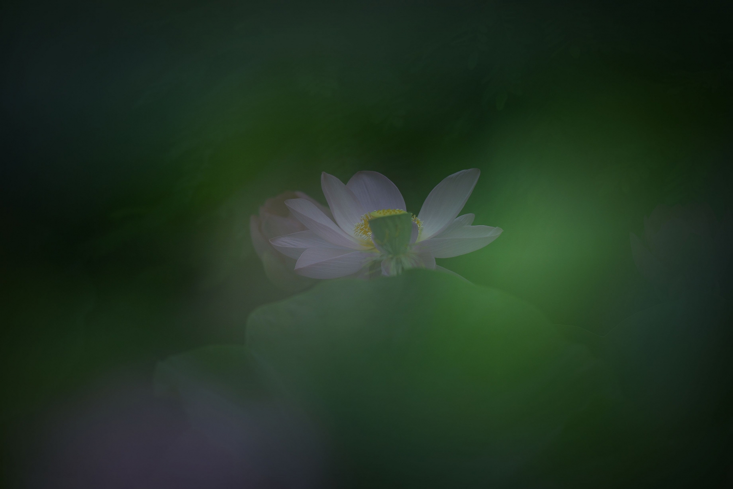 惠风和畅2