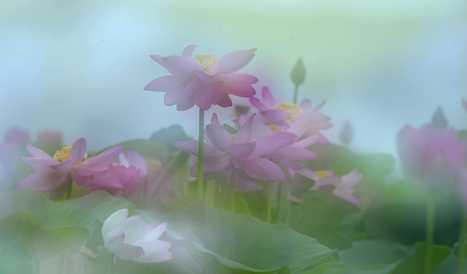 惠风和畅
