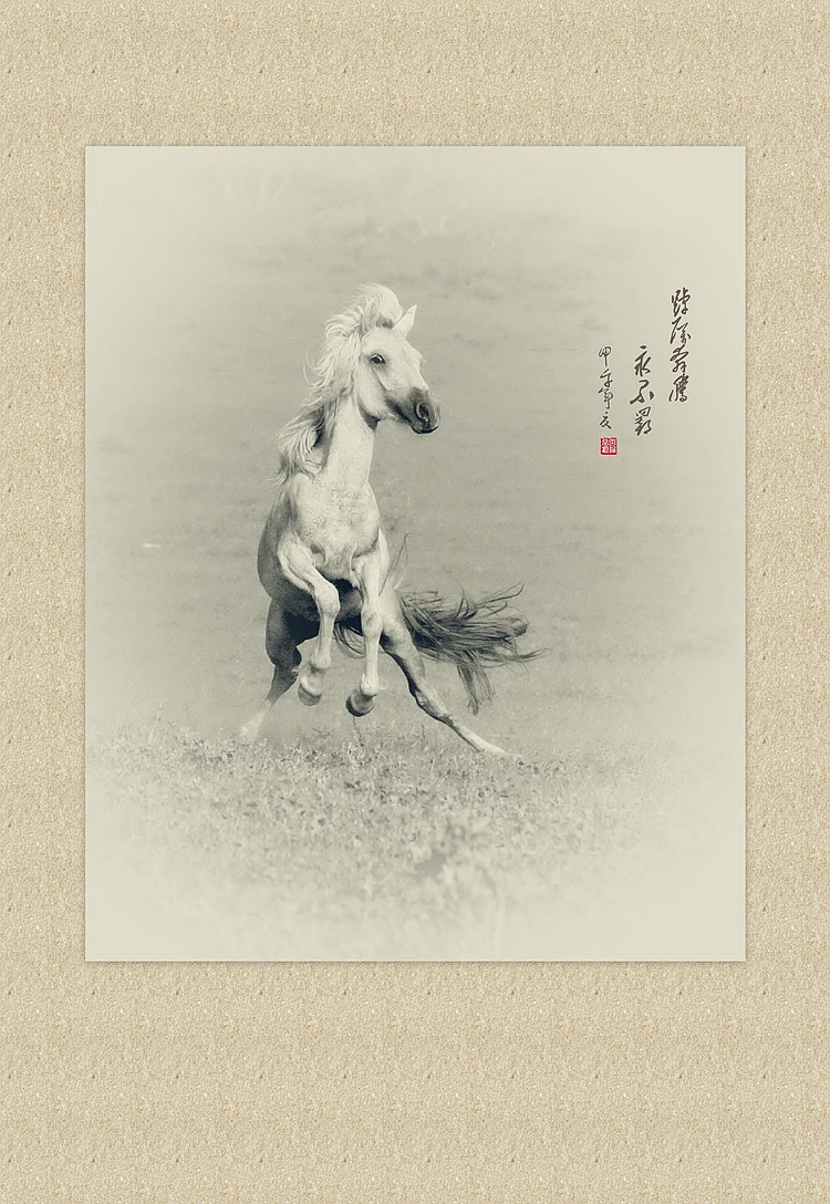草原马