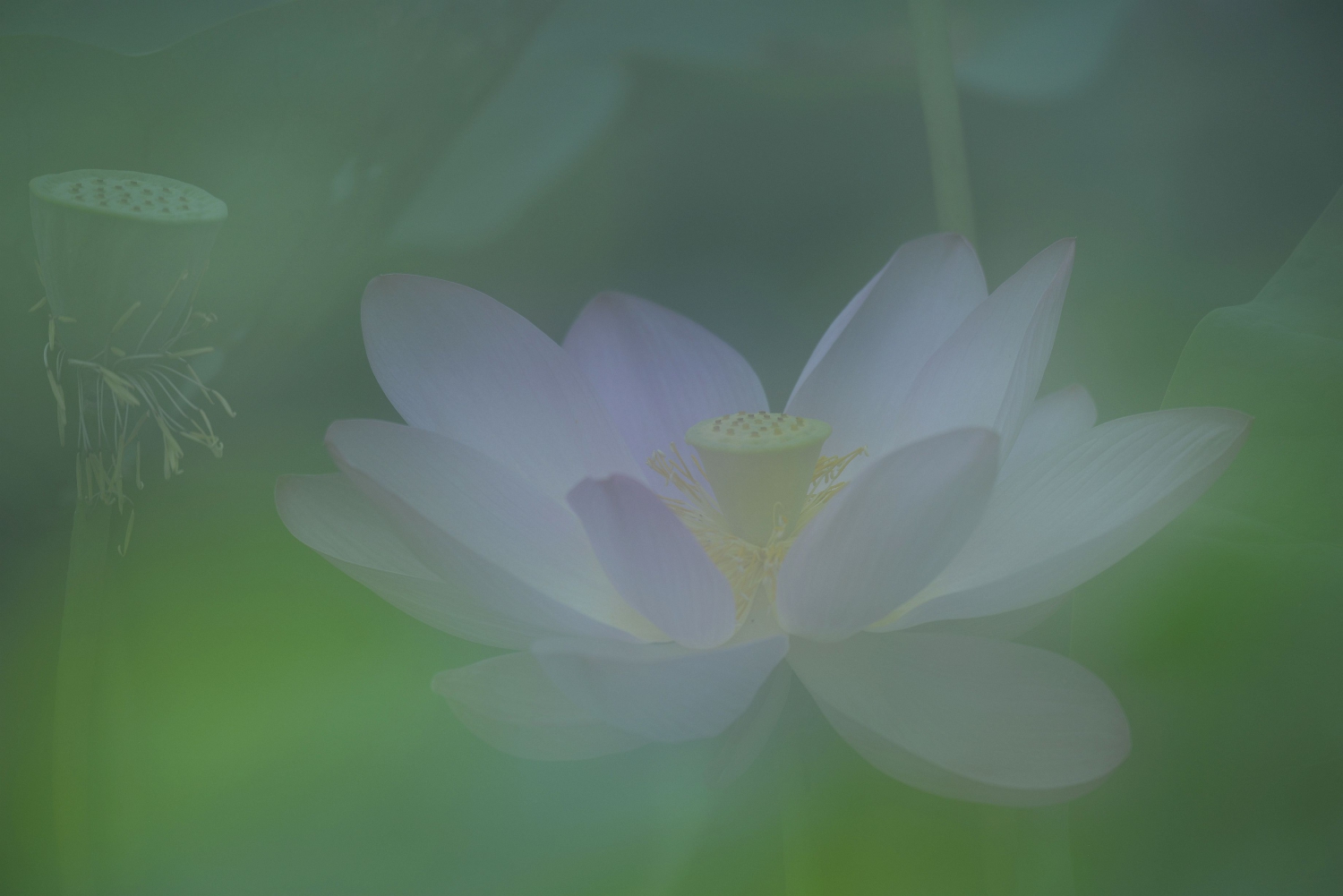 惠风和畅8