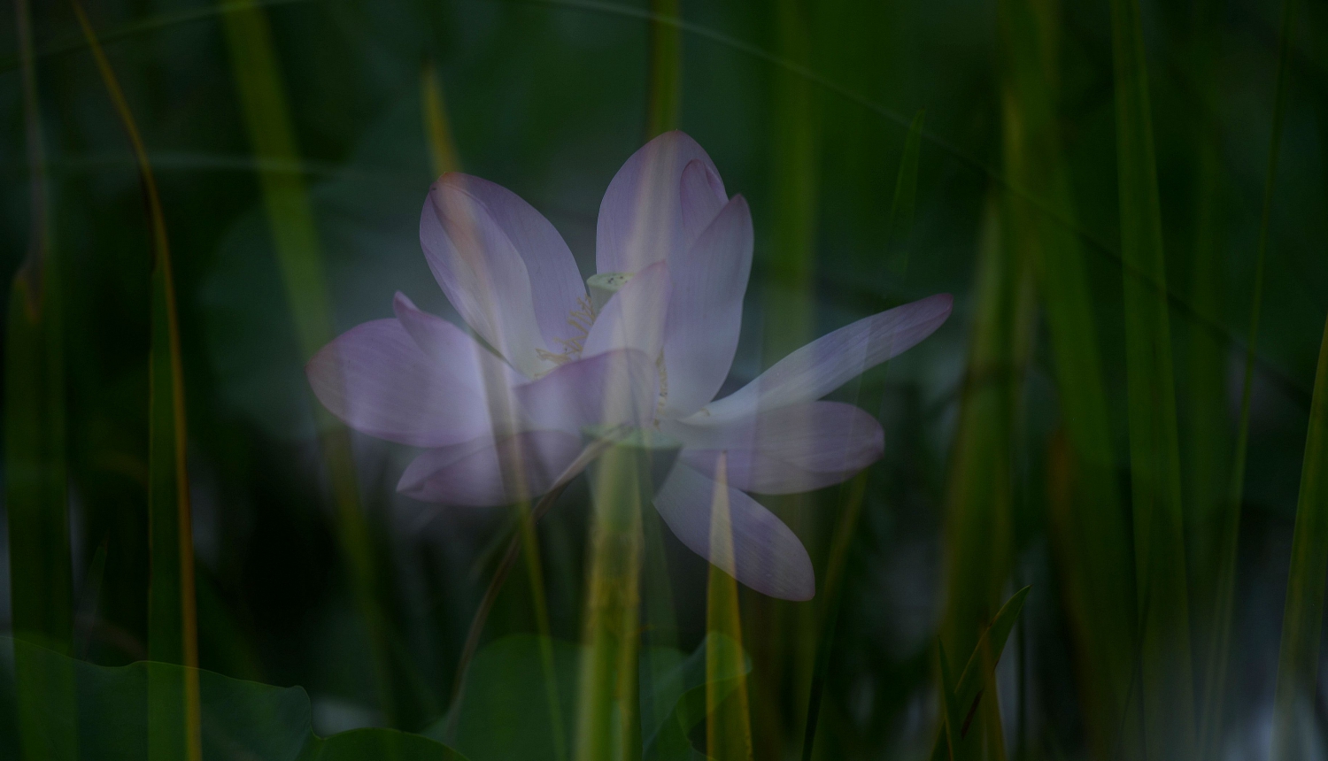 立秋2