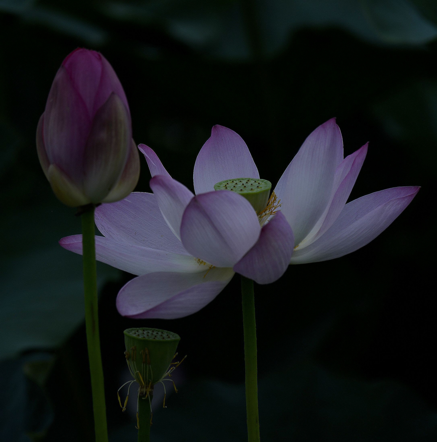 等待
