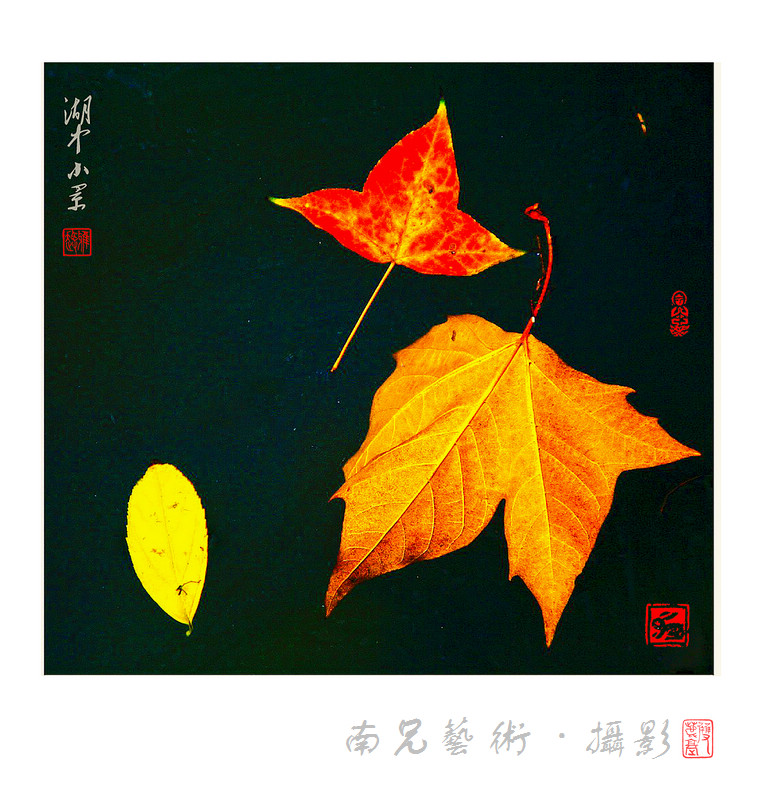 湖中小景