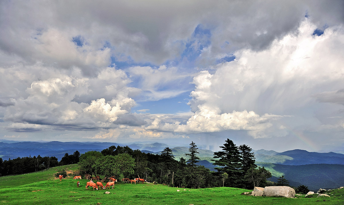 高山牧场