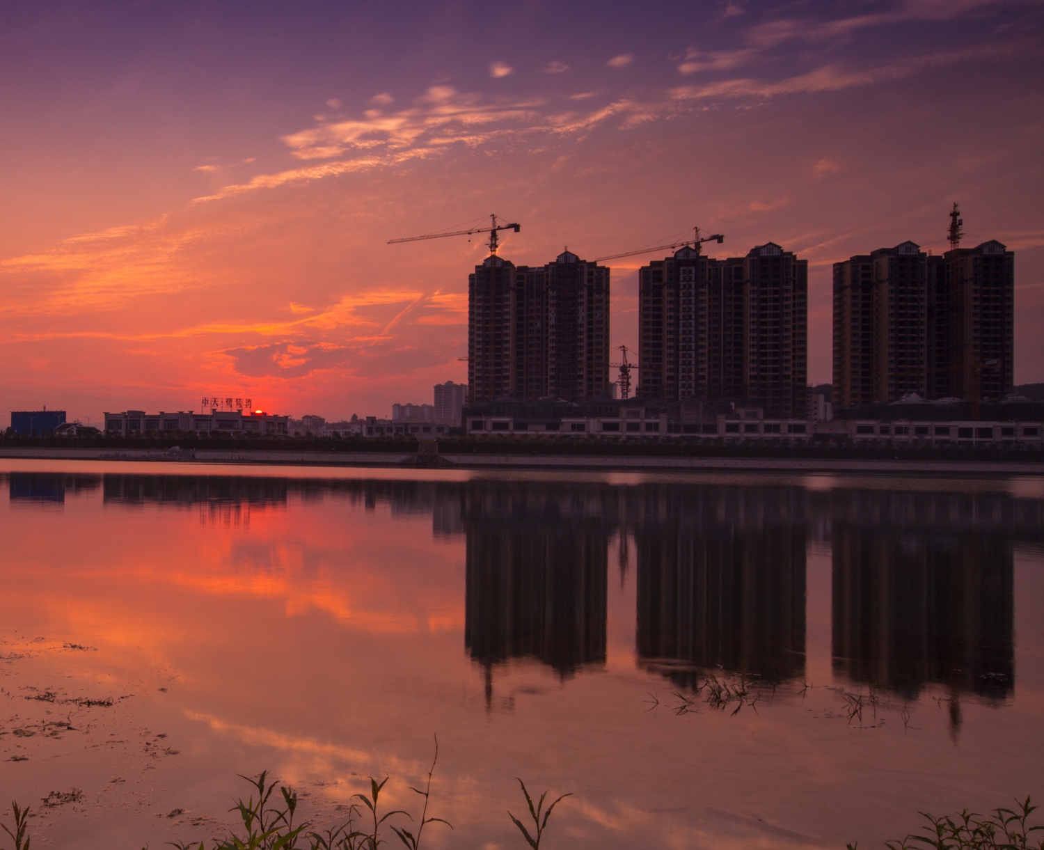 鹭鸶湾组照4