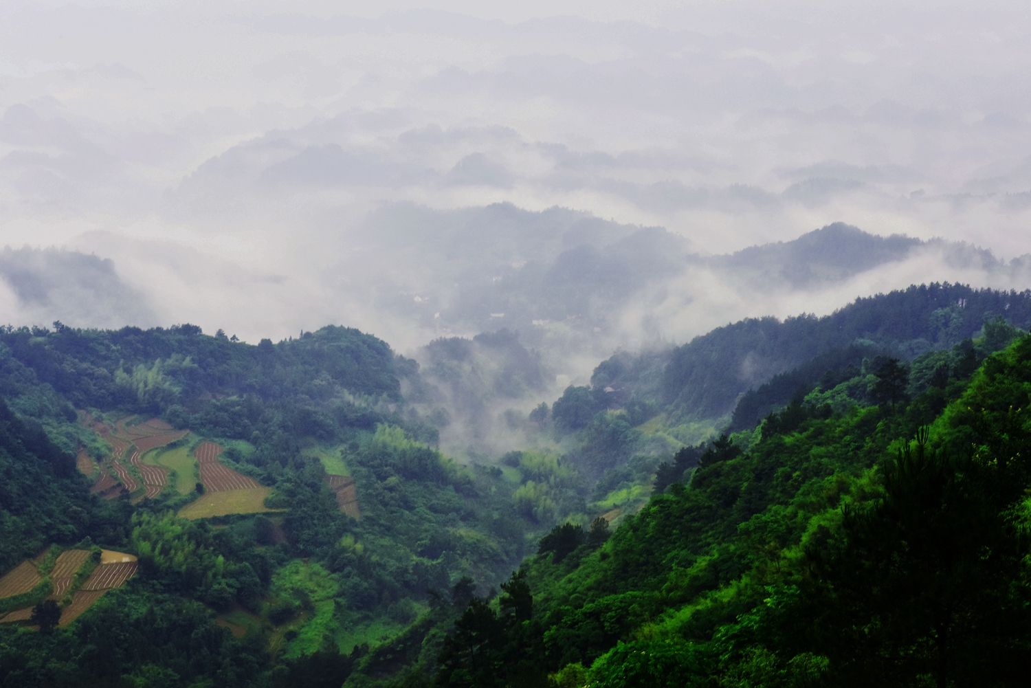 群山现首不见尾