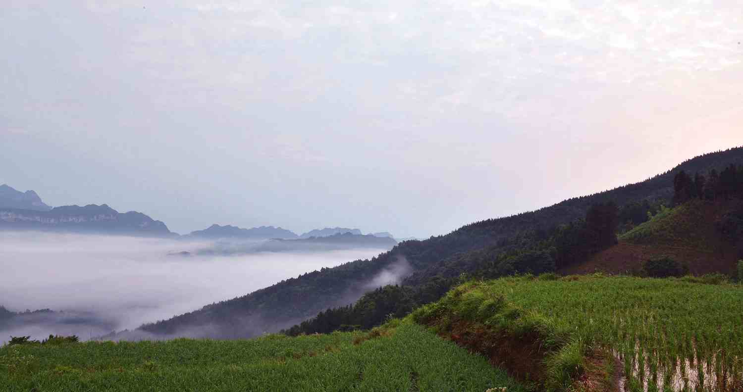 晨
