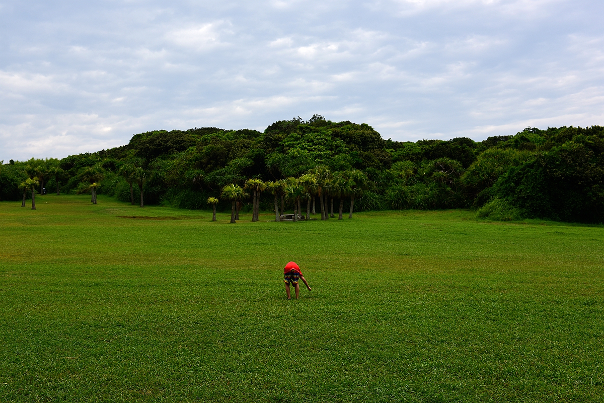 台湾乡村掠影7