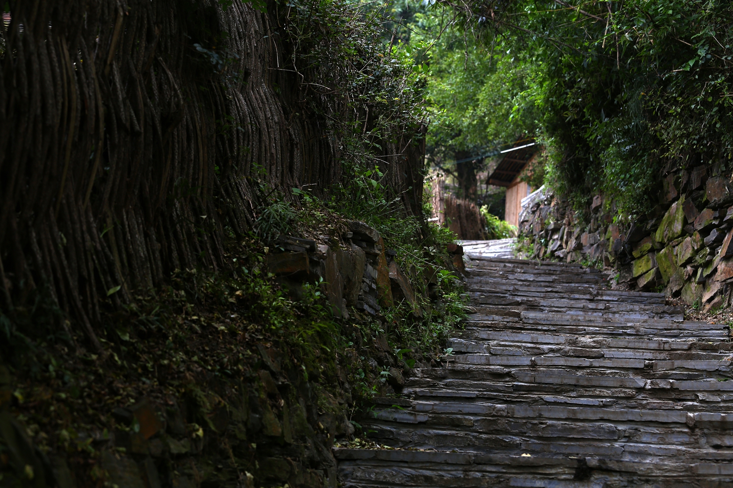 五行寨之苗民舒心路