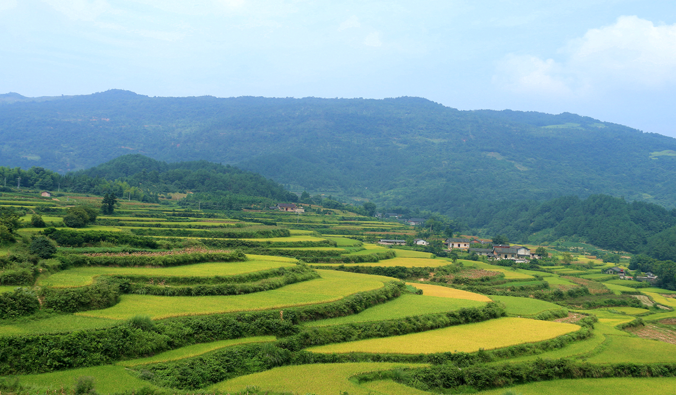 美丽乡村