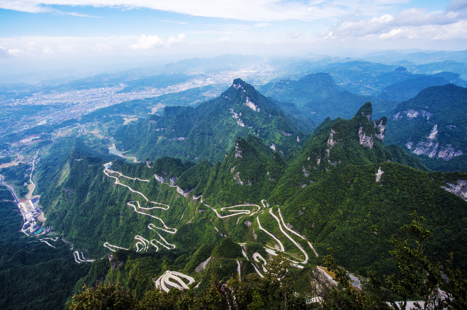 龙行仙山
