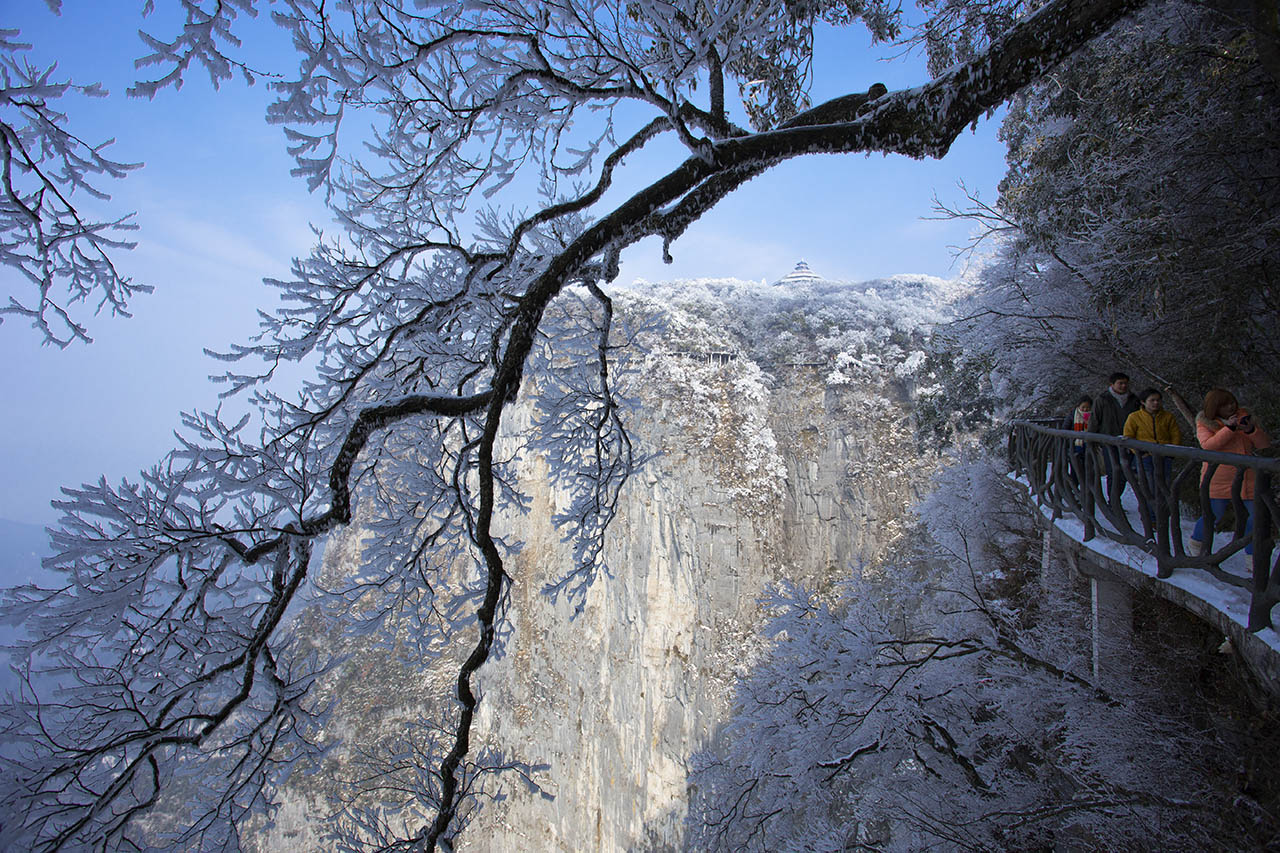 冬雪