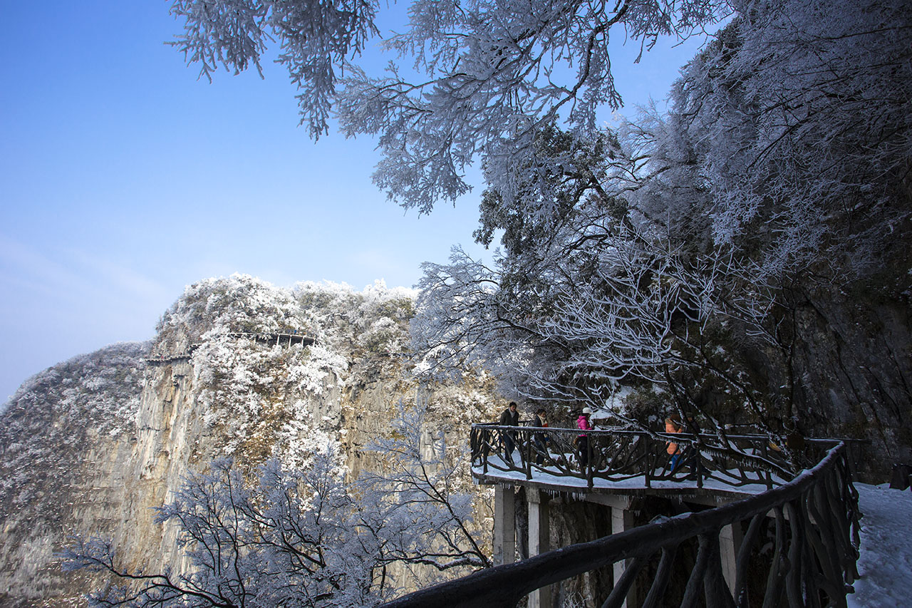 冬雪