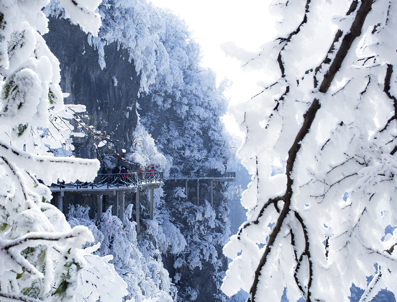 冬雪