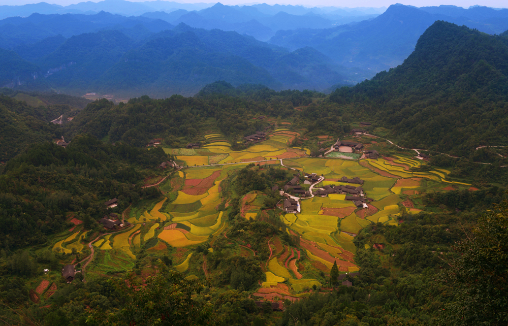 山村秋浓